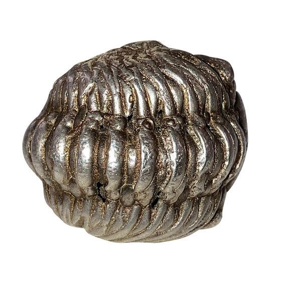 Sterling Silver Artisan Hand Made Trilobite Ring